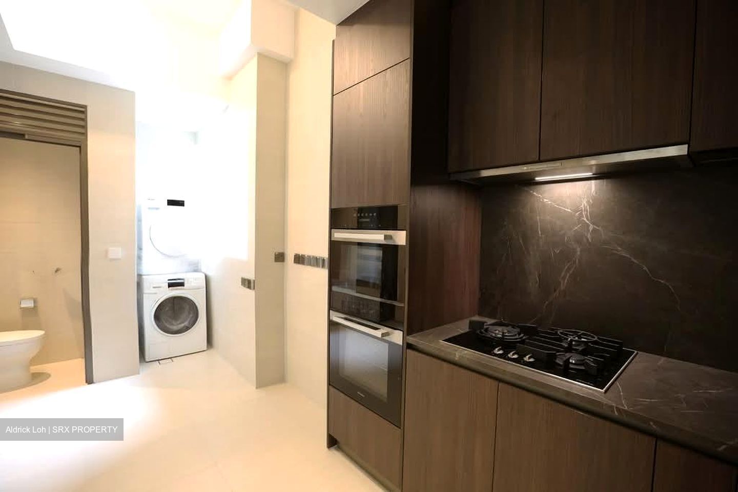 Klimt Cairnhill (D9), Apartment #528956471